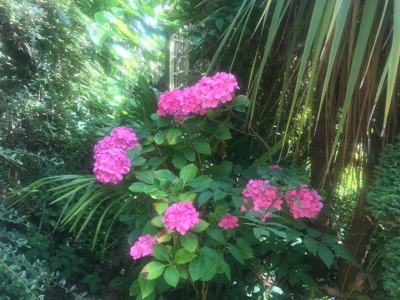 Fwd: Charnock			
					</div><!-- .entry-content -->
		
		<footer>
		
		
		
					
					</footer><!-- .entry-meta -->
	</article><!-- #post -->
				
											
				
		
<hr class=