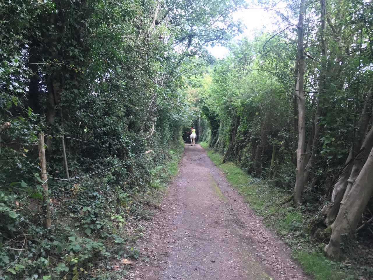 Fwd: Troway			
					</div><!-- .entry-content -->
		
		<footer>
		
		
		
					
					</footer><!-- .entry-meta -->
	</article><!-- #post -->
				
											
				
		
<hr class=