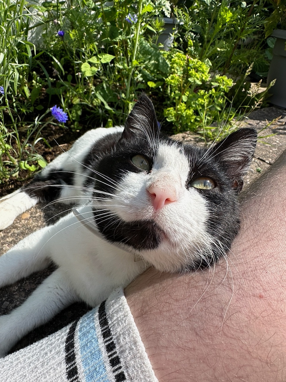 Fwd: Jordan Chant, Rotherham			
					</div><!-- .entry-content -->
		
		<footer>
		
		
		
					
					</footer><!-- .entry-meta -->
	</article><!-- #post -->
				
											
				
		
<hr class=