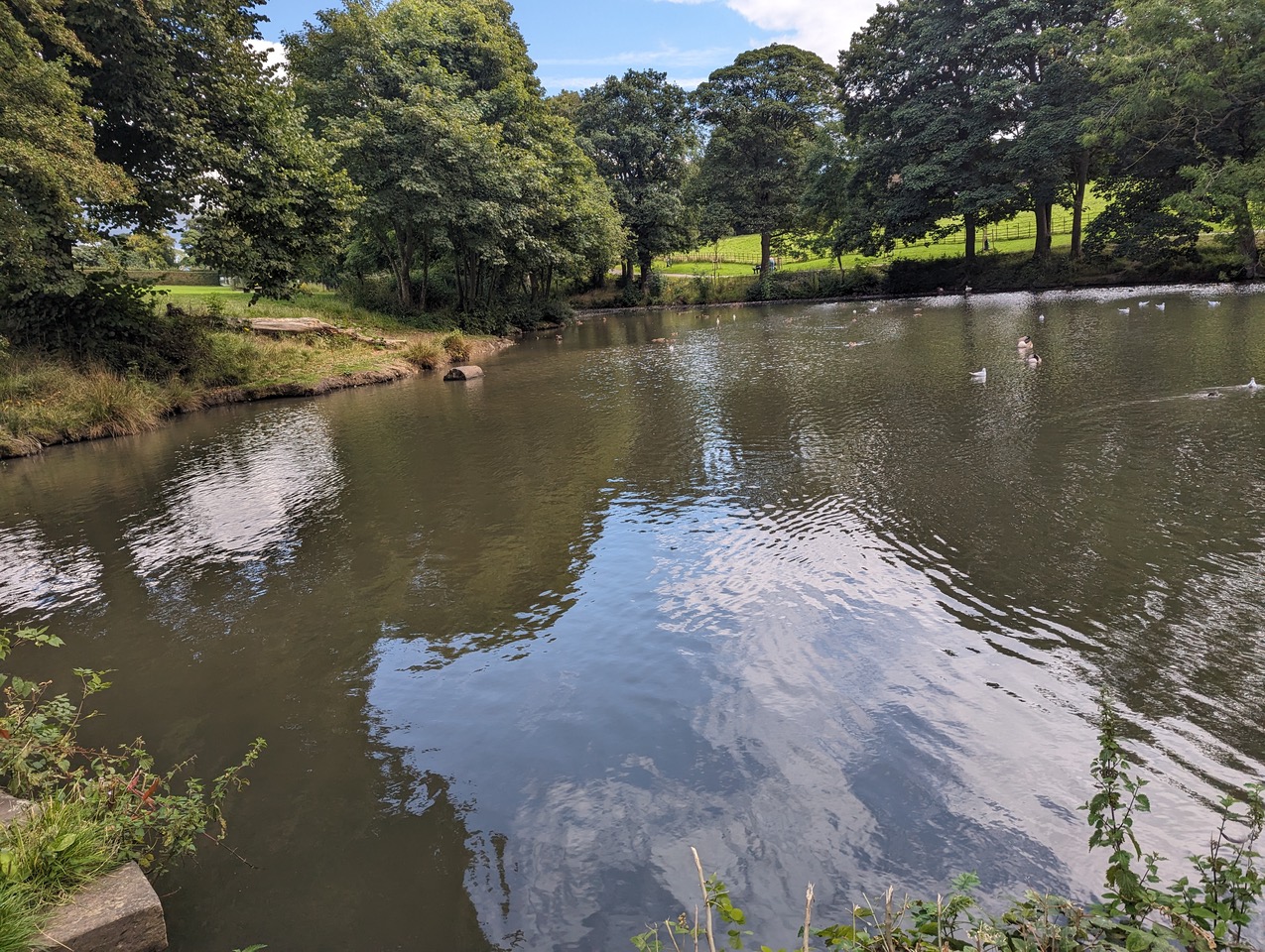 Fwd: Beautiful scenery			
					</div><!-- .entry-content -->
		
		<footer>
		
		
		
					
					</footer><!-- .entry-meta -->
	</article><!-- #post -->
				
											
				
		
<hr class=