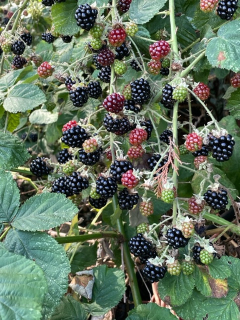 Fwd:			
					</div><!-- .entry-content -->
		
		<footer>
		
		
		
					
					</footer><!-- .entry-meta -->
	</article><!-- #post -->
				
											
				
		
<hr class=