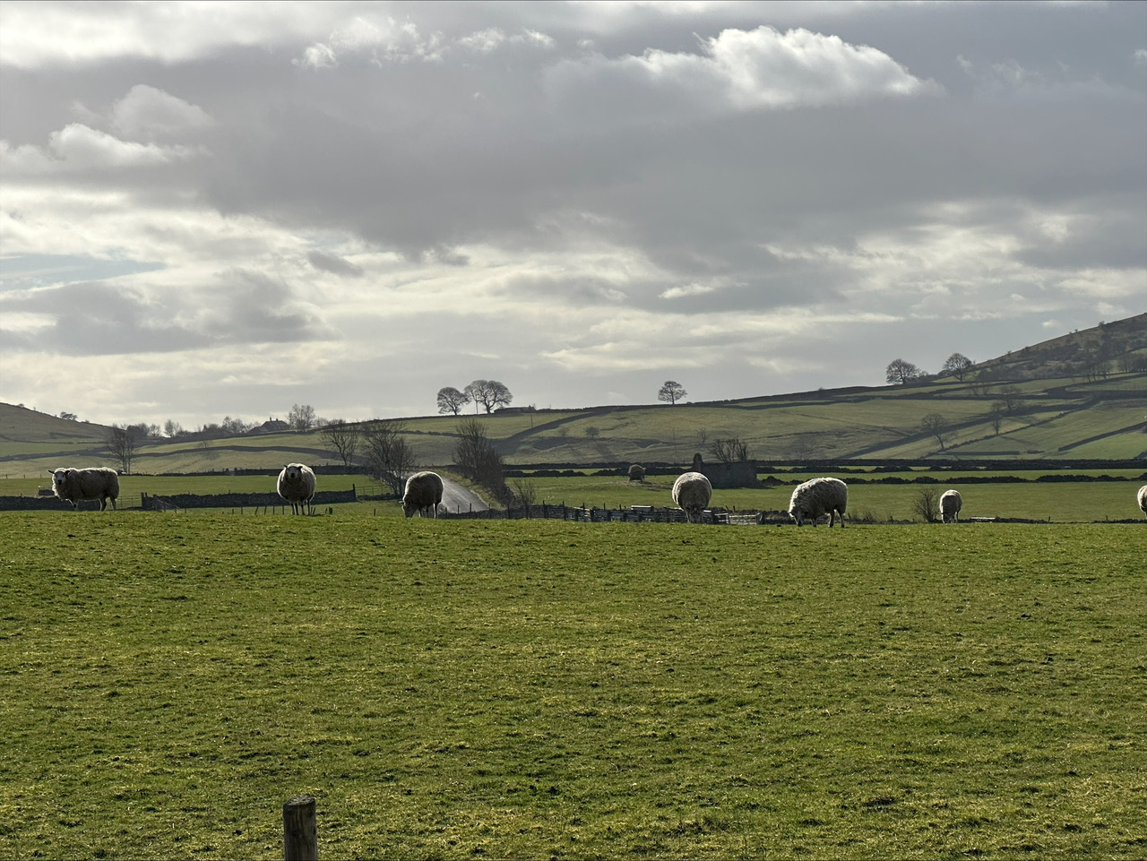 Fwd: Jordan Chant, Peak District			
					</div><!-- .entry-content -->
		
		<footer>
		
		
		
					
					</footer><!-- .entry-meta -->
	</article><!-- #post -->
				
											
				
		
<hr class=