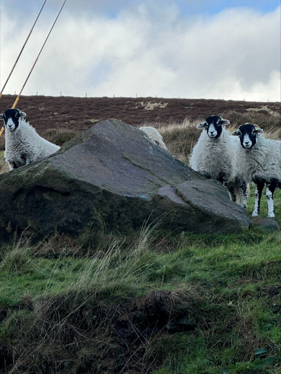 Fwd: Jordan Chant, Peak District			
					</div><!-- .entry-content -->
		
		<footer>
		
		
		
					
					</footer><!-- .entry-meta -->
	</article><!-- #post -->
				
											
				
		
<hr class=