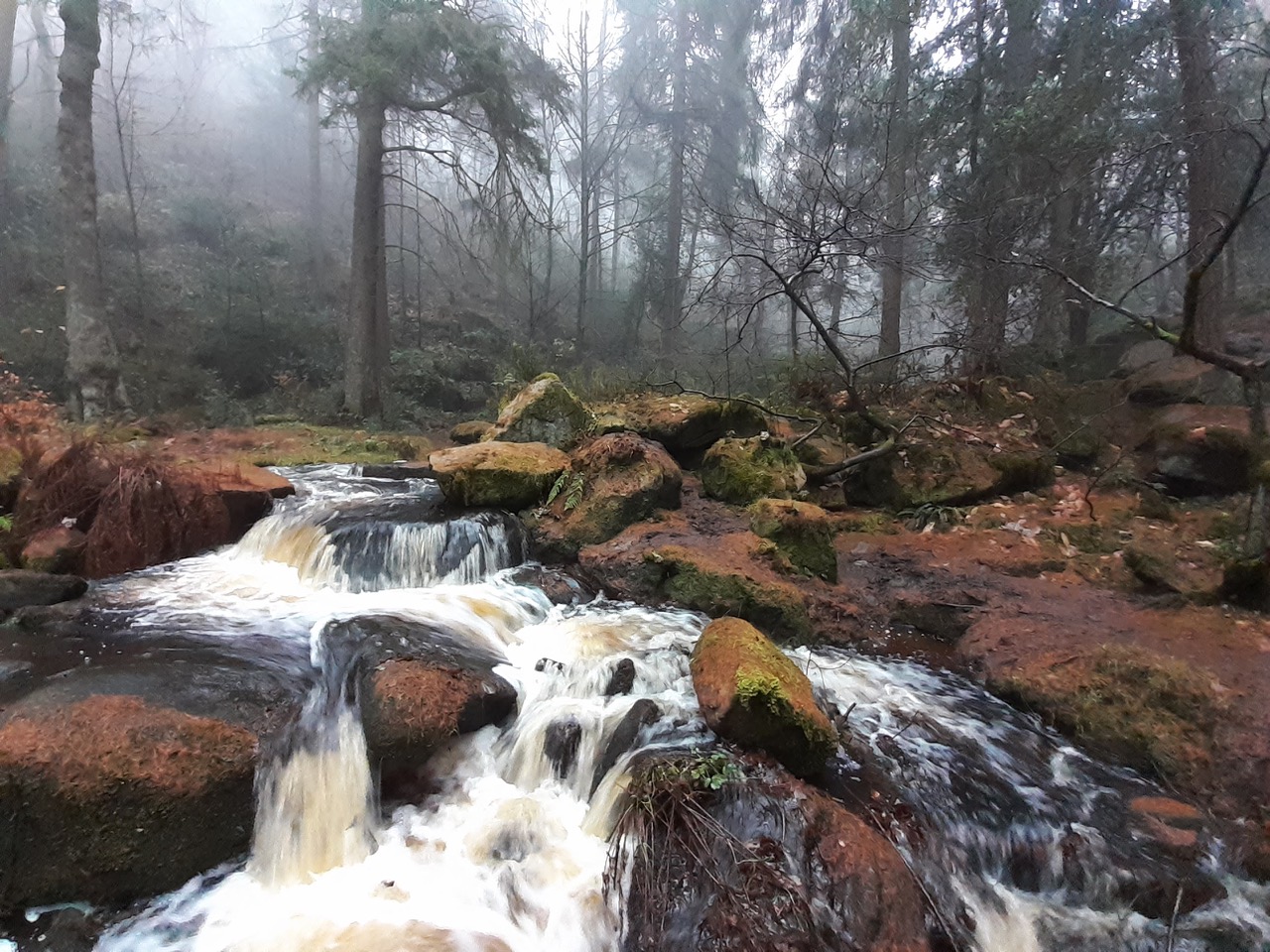 Fwd: Gullface London			
					</div><!-- .entry-content -->
		
		<footer>
		
		
		
					
					</footer><!-- .entry-meta -->
	</article><!-- #post -->
				
											
				
		
<hr class=