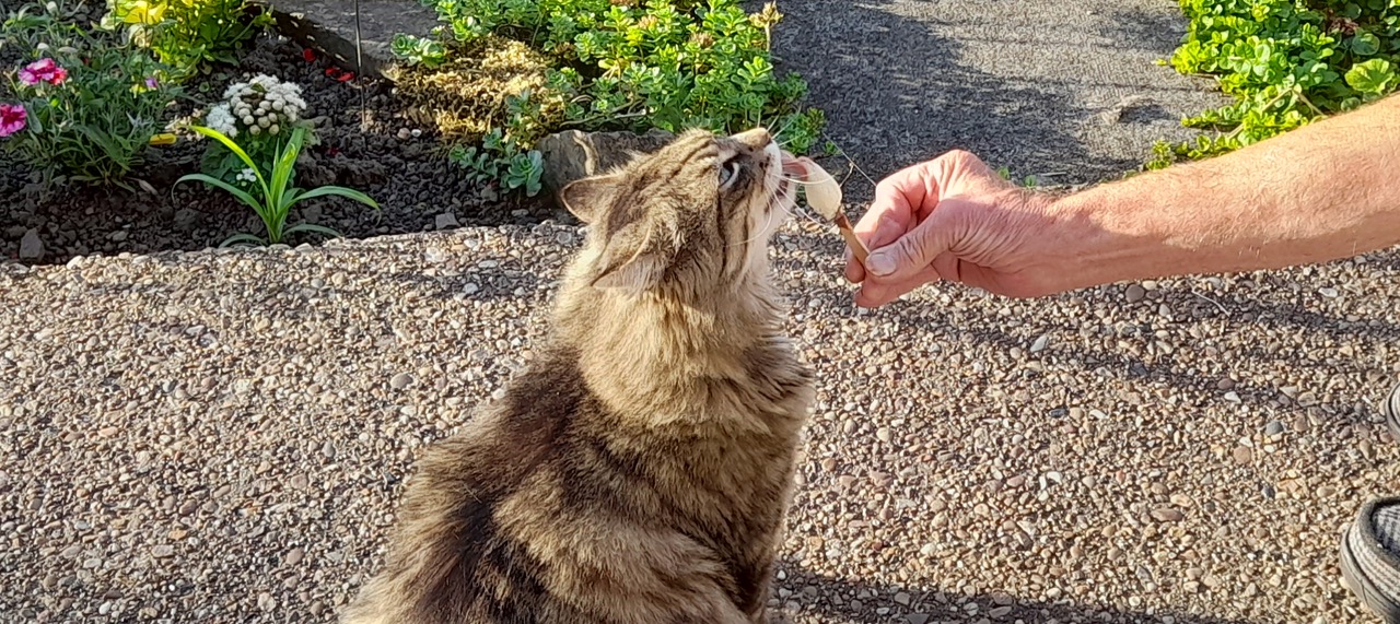 Fwd: Gail Ellis, Ollie with ice cream			
					</div><!-- .entry-content -->
		
		<footer>
		
		
		
					
					</footer><!-- .entry-meta -->
	</article><!-- #post -->
				
											
				
		
<hr class=