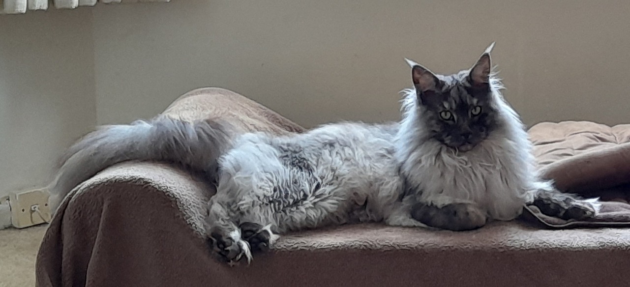 Fwd: Gail Ellis, Eve			
					</div><!-- .entry-content -->
		
		<footer>
		
		
		
					
					</footer><!-- .entry-meta -->
	</article><!-- #post -->
				
											
				
		
<hr class=