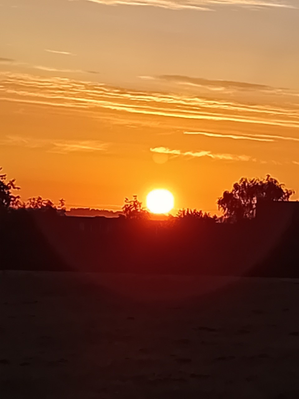 Fwd:			
					</div><!-- .entry-content -->
		
		<footer>
		
		
		
					
					</footer><!-- .entry-meta -->
	</article><!-- #post -->
				
											
				
		
<hr class=