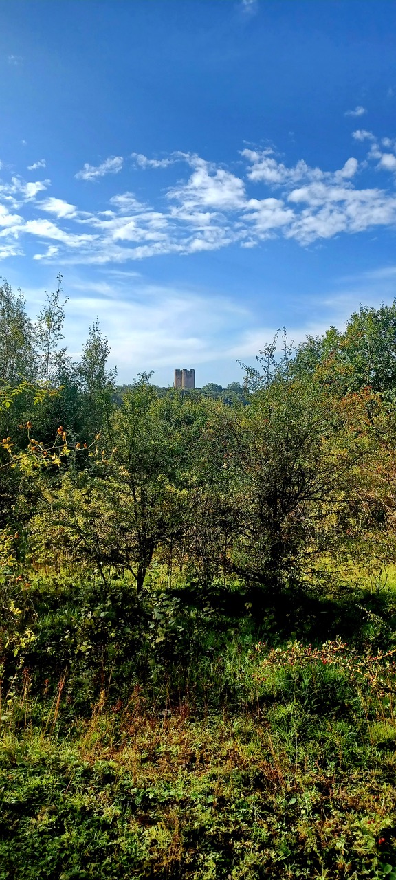 Fwd: By Markius Maximus- Conisbrough Castle			
					</div><!-- .entry-content -->
		
		<footer>
		
		
		
					
					</footer><!-- .entry-meta -->
	</article><!-- #post -->
				
											
				
		
<hr class=