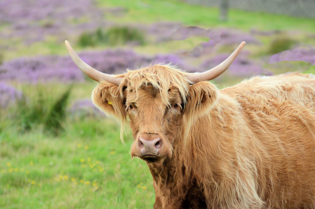 Fwd: Photo			
					</div><!-- .entry-content -->
		
		<footer>
		
		
		
					
					</footer><!-- .entry-meta -->
	</article><!-- #post -->
				
											
				
		
<hr class=