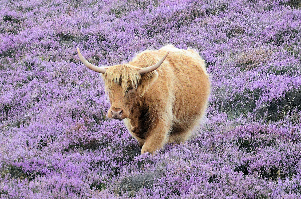 Fwd: Photo			
					</div><!-- .entry-content -->
		
		<footer>
		
		
		
					
					</footer><!-- .entry-meta -->
	</article><!-- #post -->
				
											
				
		
<hr class=