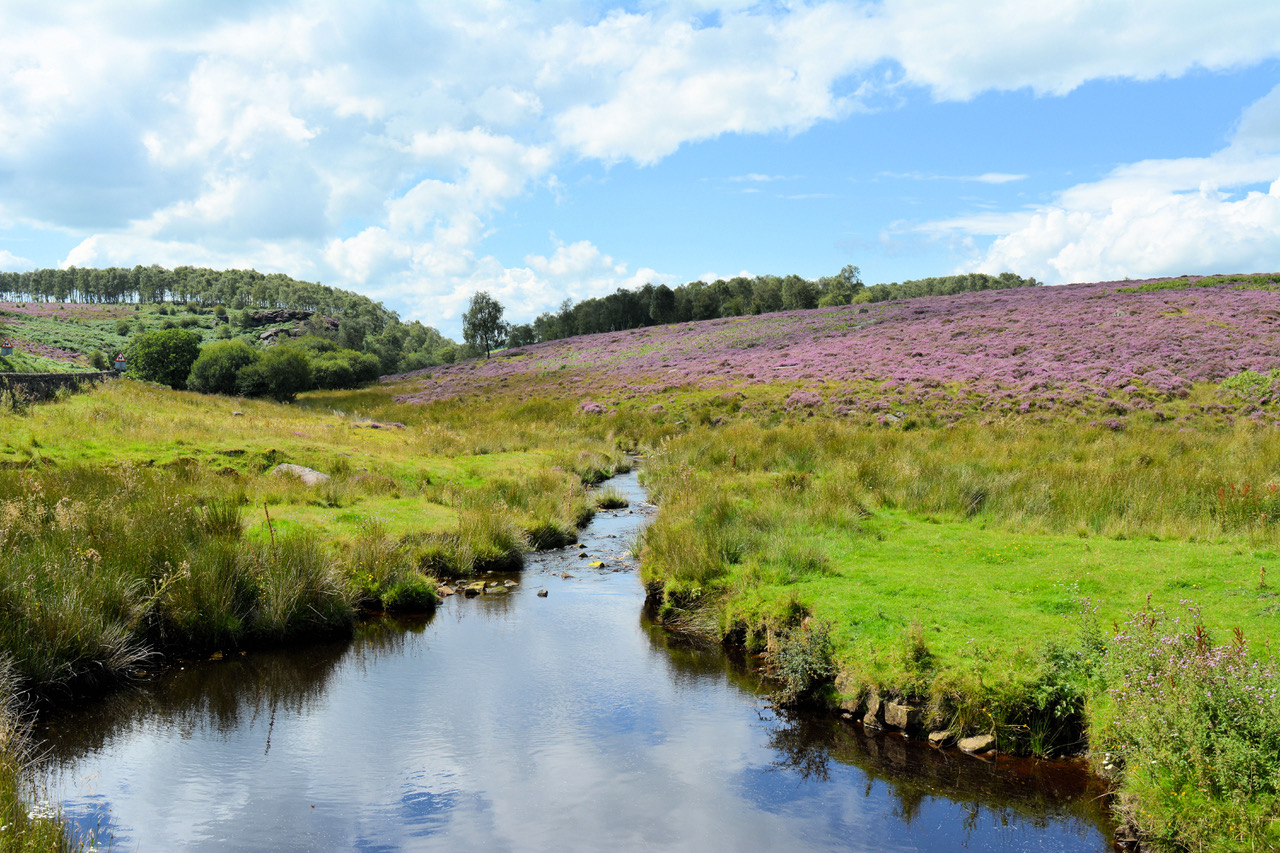 Fwd: Photo			
					</div><!-- .entry-content -->
		
		<footer>
		
		
		
					
					</footer><!-- .entry-meta -->
	</article><!-- #post -->
				
											
				
		
<hr class=