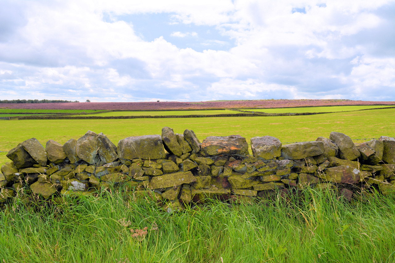 Fwd: Photo			
					</div><!-- .entry-content -->
		
		<footer>
		
		
		
					
					</footer><!-- .entry-meta -->
	</article><!-- #post -->
				
											
				
		
<hr class=