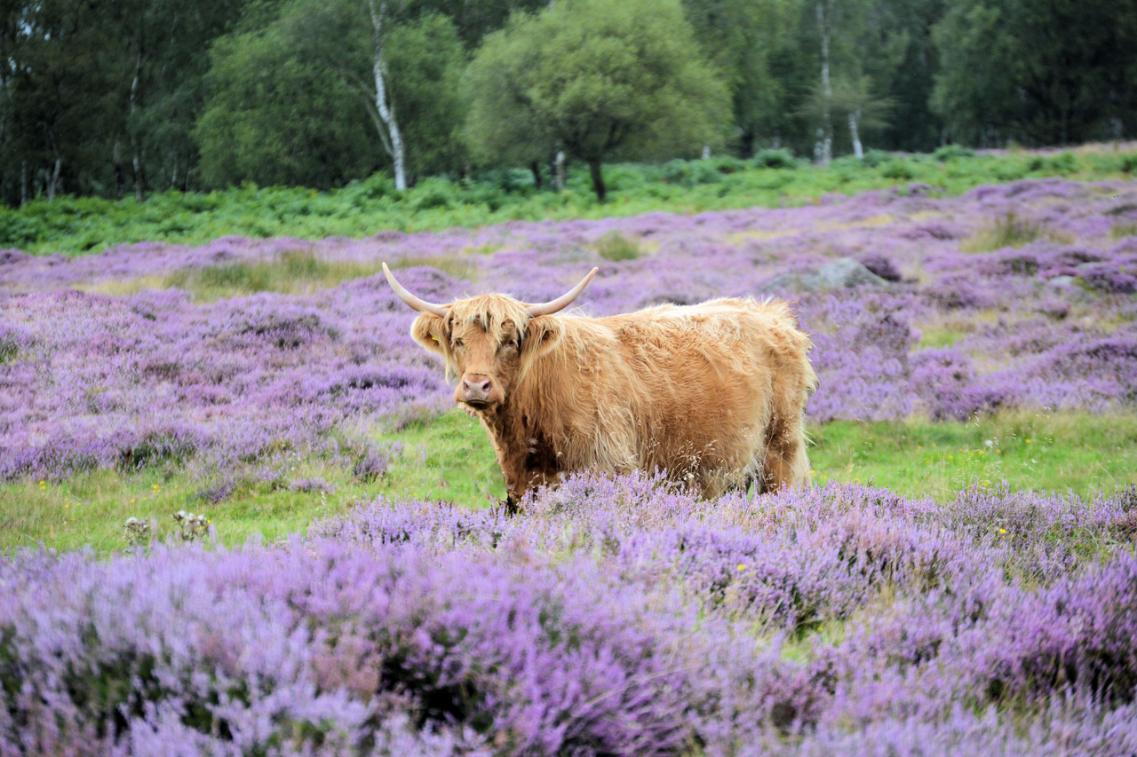 Fwd: Photo			
					</div><!-- .entry-content -->
		
		<footer>
		
		
		
					
					</footer><!-- .entry-meta -->
	</article><!-- #post -->
				
											
				
		
<hr class=