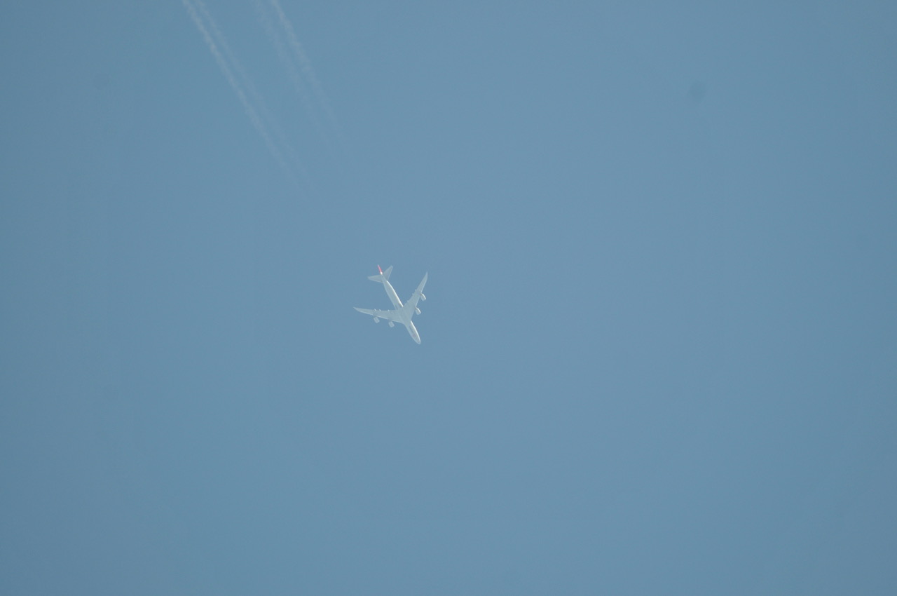 Fwd: Roland Geordie, Dumbo the Jumbo			
					</div><!-- .entry-content -->
		
		<footer>
		
		
		
					
					</footer><!-- .entry-meta -->
	</article><!-- #post -->
				
											
				
		
<hr class=