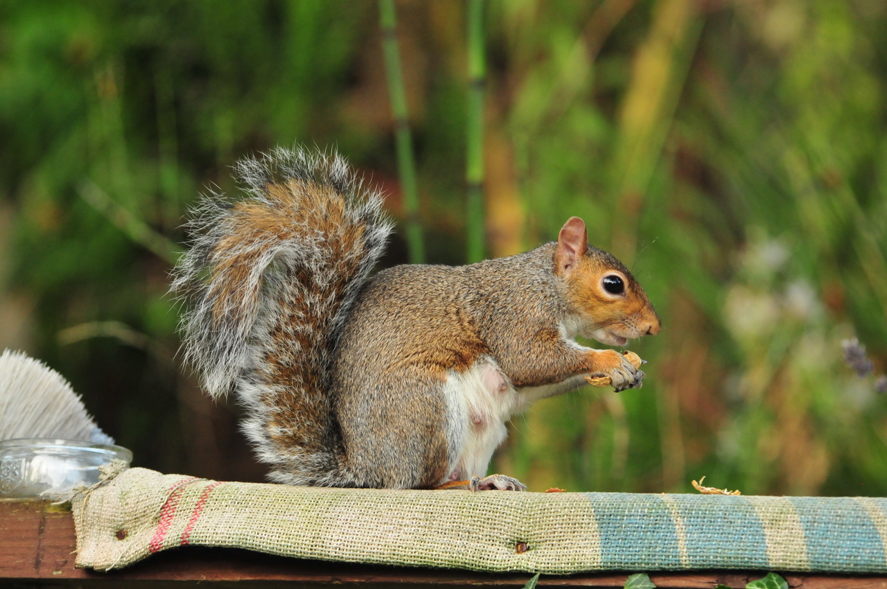 Fwd: Roland Geordie, Classic Pose			
					</div><!-- .entry-content -->
		
		<footer>
		
		
		
					
					</footer><!-- .entry-meta -->
	</article><!-- #post -->
				
											
				
		
<hr class=