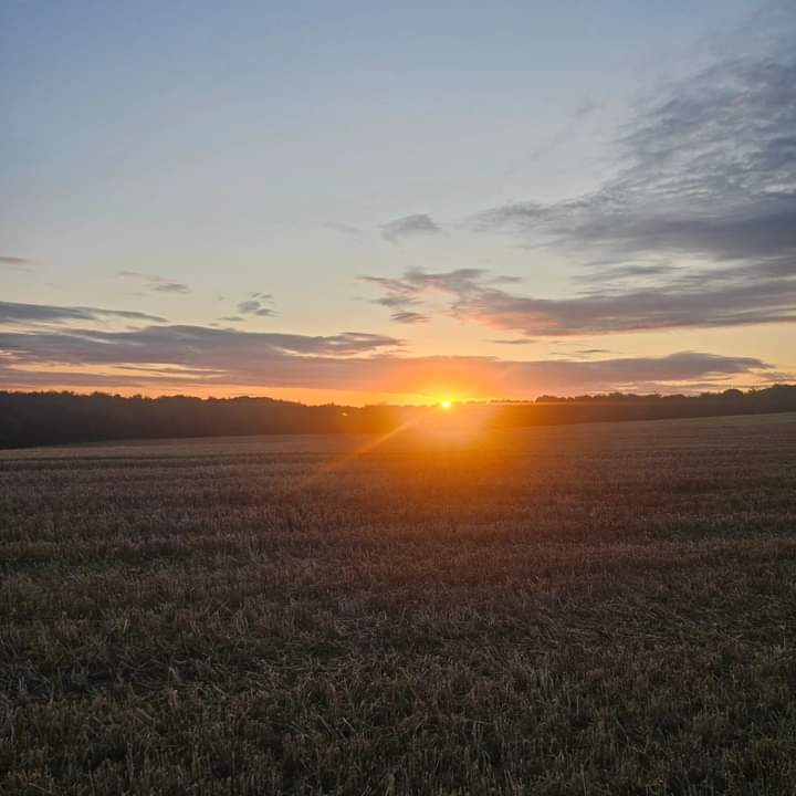 Fwd: By Simon Rudkin Esq- Kimberworth			
					</div><!-- .entry-content -->
		
		<footer>
		
		
		
					
					</footer><!-- .entry-meta -->
	</article><!-- #post -->
				
											
				
		
<hr class=