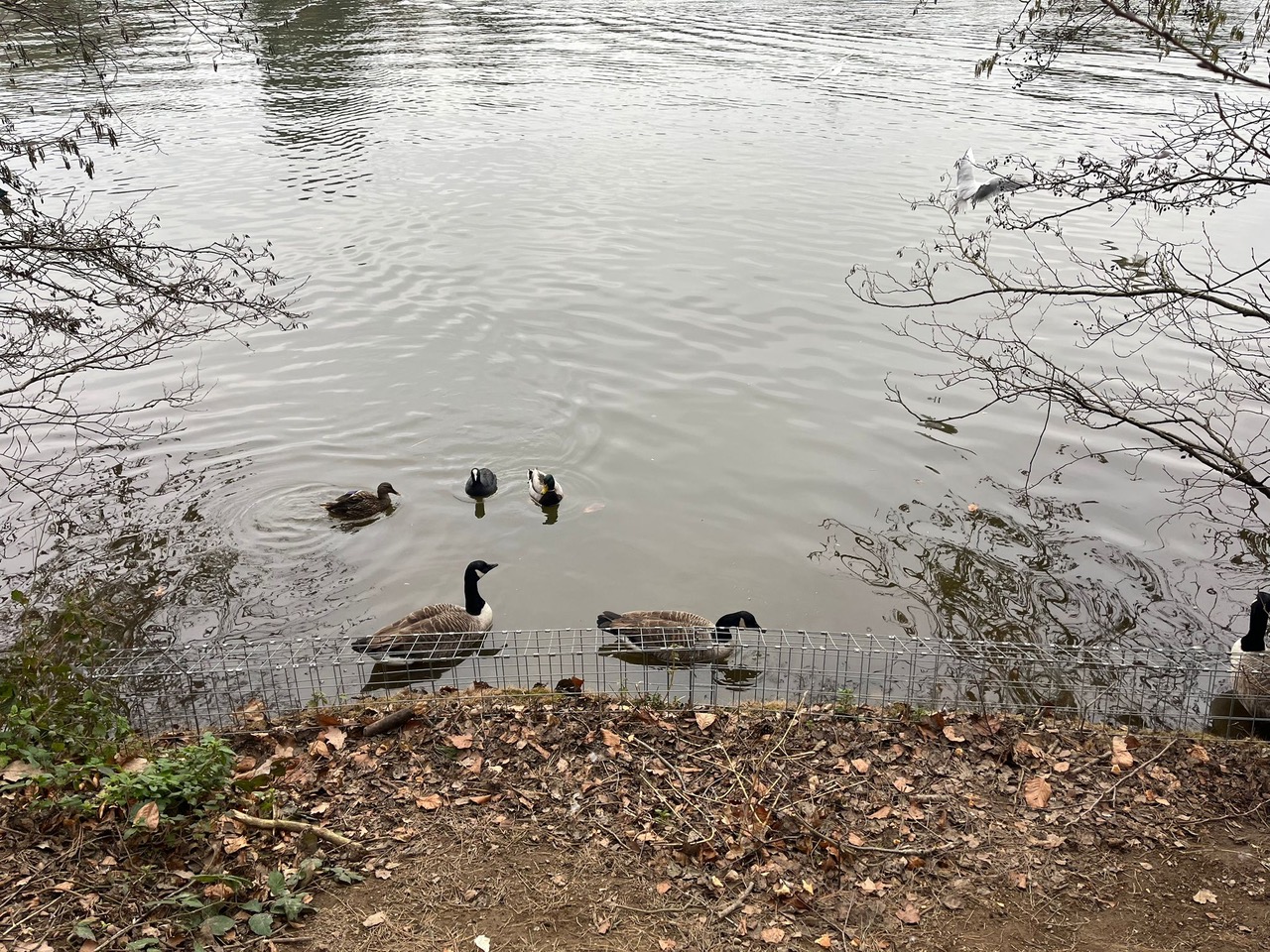 Fwd: Alex Welch – Sheffield			
					</div><!-- .entry-content -->
		
		<footer>
		
		
		
					
					</footer><!-- .entry-meta -->
	</article><!-- #post -->
				
											
				
		
<hr class=