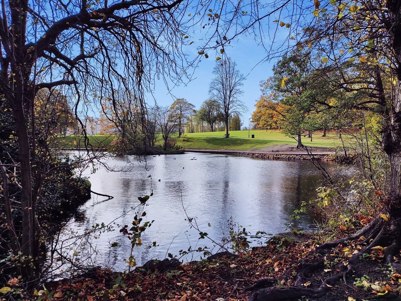 Fwd: Hillsborough park			
					</div><!-- .entry-content -->
		
		<footer>
		
		
		
					
					</footer><!-- .entry-meta -->
	</article><!-- #post -->
				
											
				
		
<hr class=