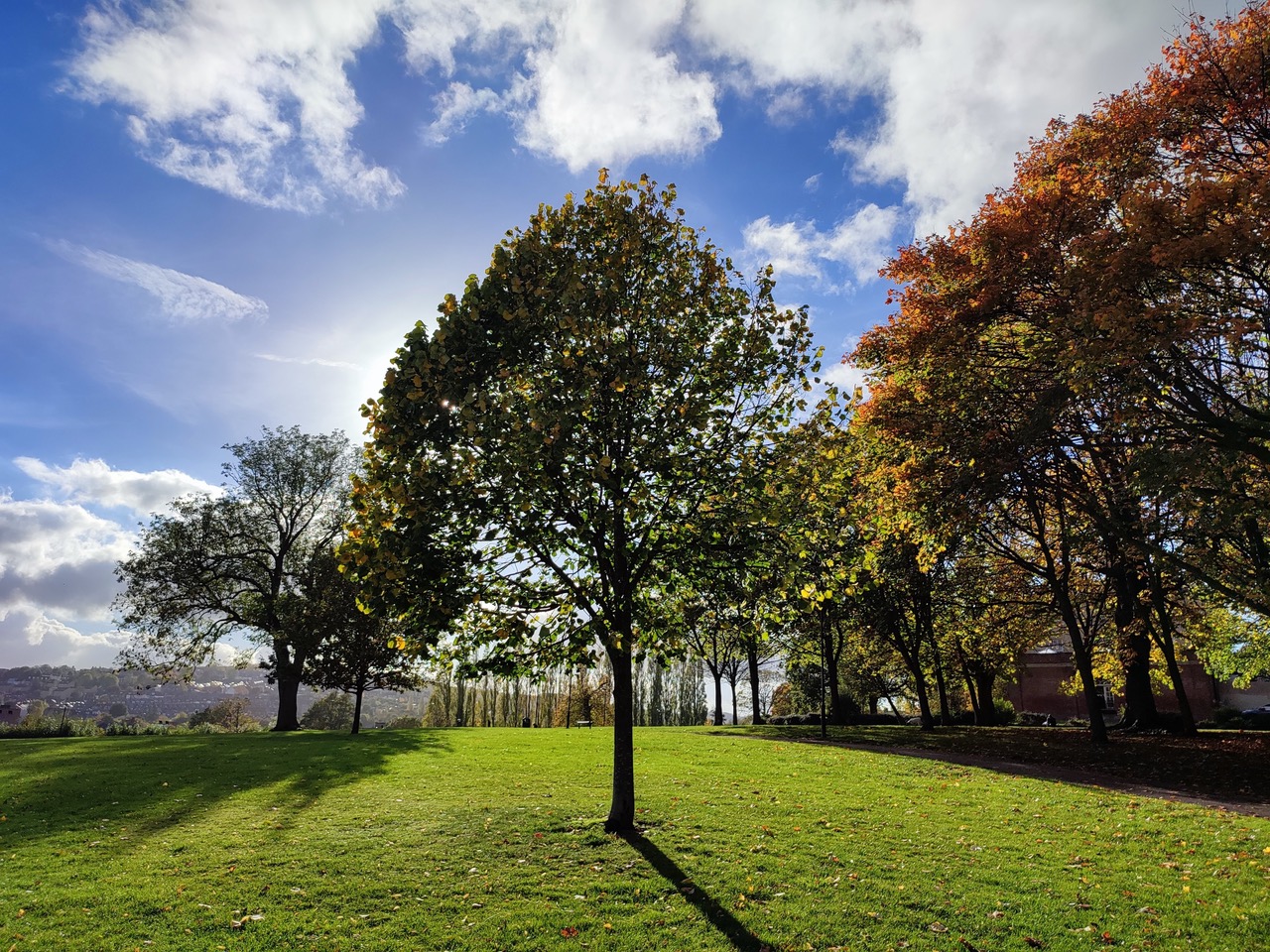 Fwd: Hillsborough park			
					</div><!-- .entry-content -->
		
		<footer>
		
		
		
					
					</footer><!-- .entry-meta -->
	</article><!-- #post -->
				
											
				
		
<hr class=