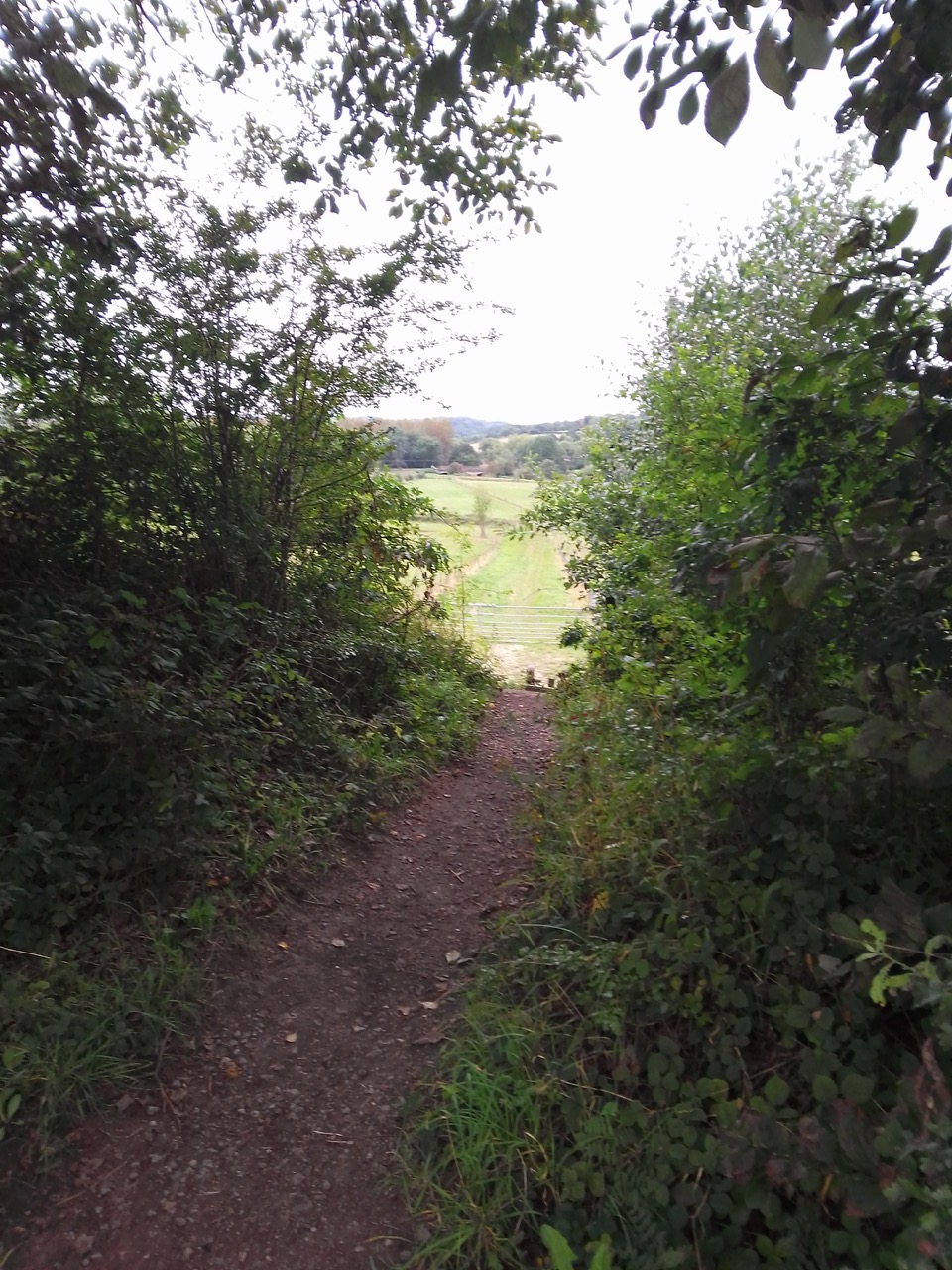 Fwd: Off Pennine trail towards Eckington			
					</div><!-- .entry-content -->
		
		<footer>
		
		
		
					
					</footer><!-- .entry-meta -->
	</article><!-- #post -->
				
											
				
		
<hr class=