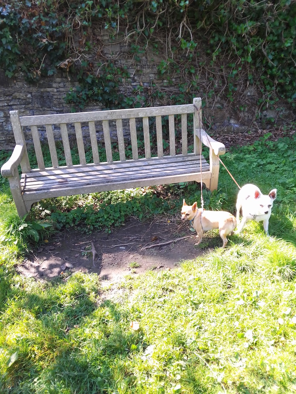 Fwd: Eddie & Wilma at Chelsea park			
					</div><!-- .entry-content -->
		
		<footer>
		
		
		
					
					</footer><!-- .entry-meta -->
	</article><!-- #post -->
				
											
				
		
<hr class=