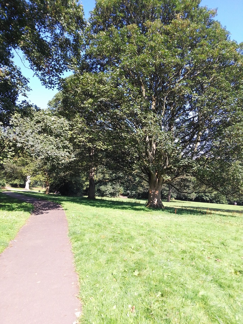 Fwd: Chelsea park			
					</div><!-- .entry-content -->
		
		<footer>
		
		
		
					
					</footer><!-- .entry-meta -->
	</article><!-- #post -->
				
											
				
		
<hr class=