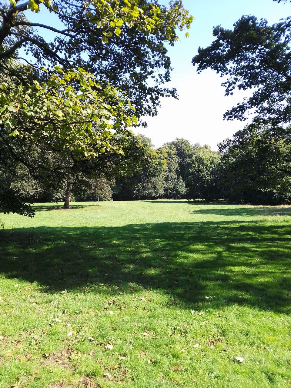 Fwd: Chelsea park			
					</div><!-- .entry-content -->
		
		<footer>
		
		
		
					
					</footer><!-- .entry-meta -->
	</article><!-- #post -->
				
											
				
		
<hr class=