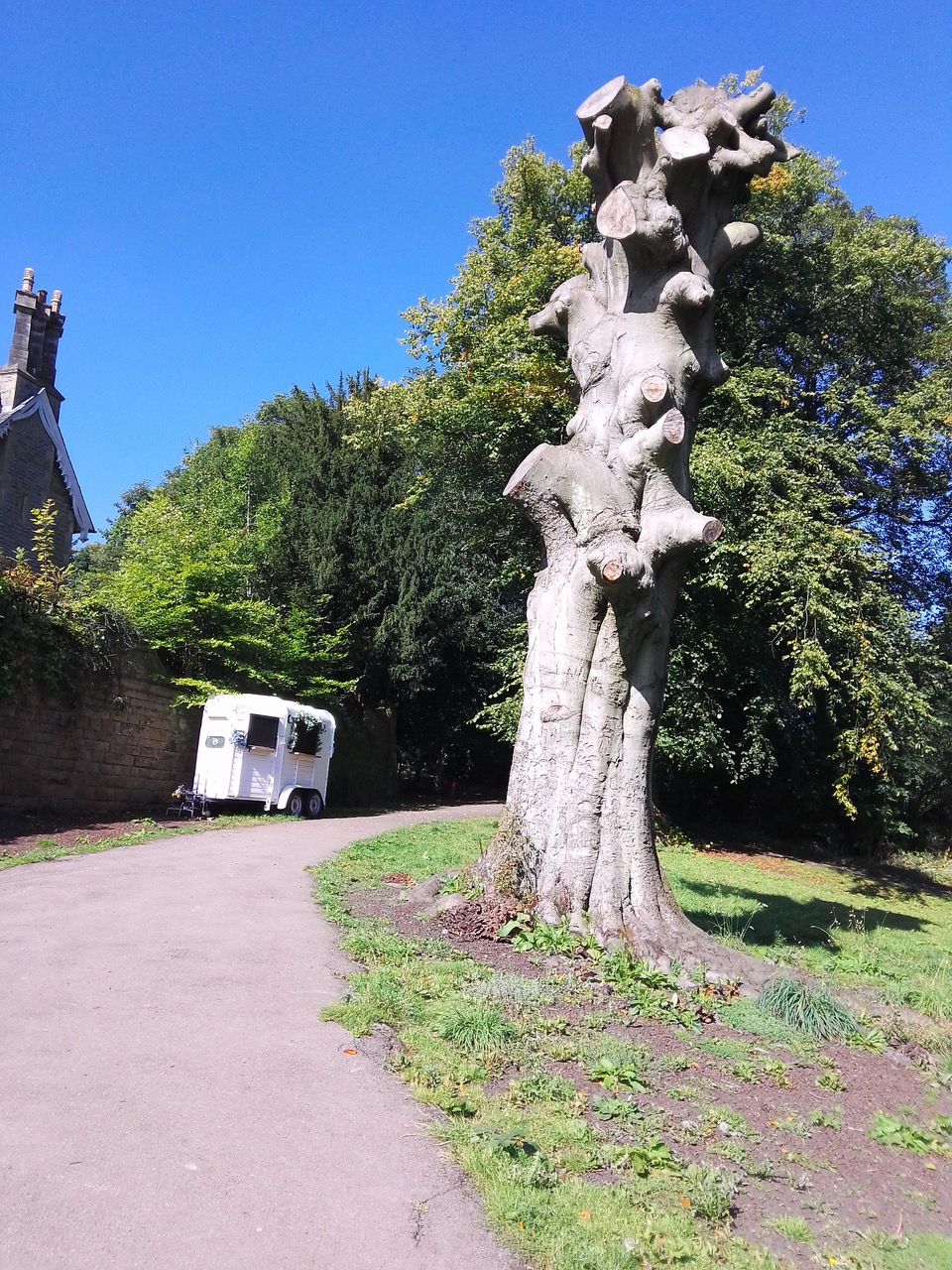 Fwd: Chelsea park			
					</div><!-- .entry-content -->
		
		<footer>
		
		
		
					
					</footer><!-- .entry-meta -->
	</article><!-- #post -->
				
											
				
		
<hr class=