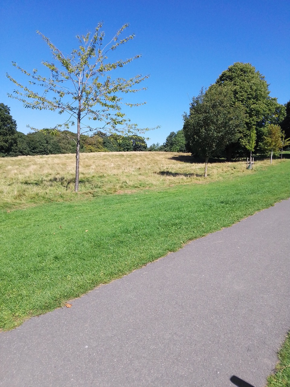 Fwd: Graves Park			
					</div><!-- .entry-content -->
		
		<footer>
		
		
		
					
					</footer><!-- .entry-meta -->
	</article><!-- #post -->
				
											
				
		
<hr class=