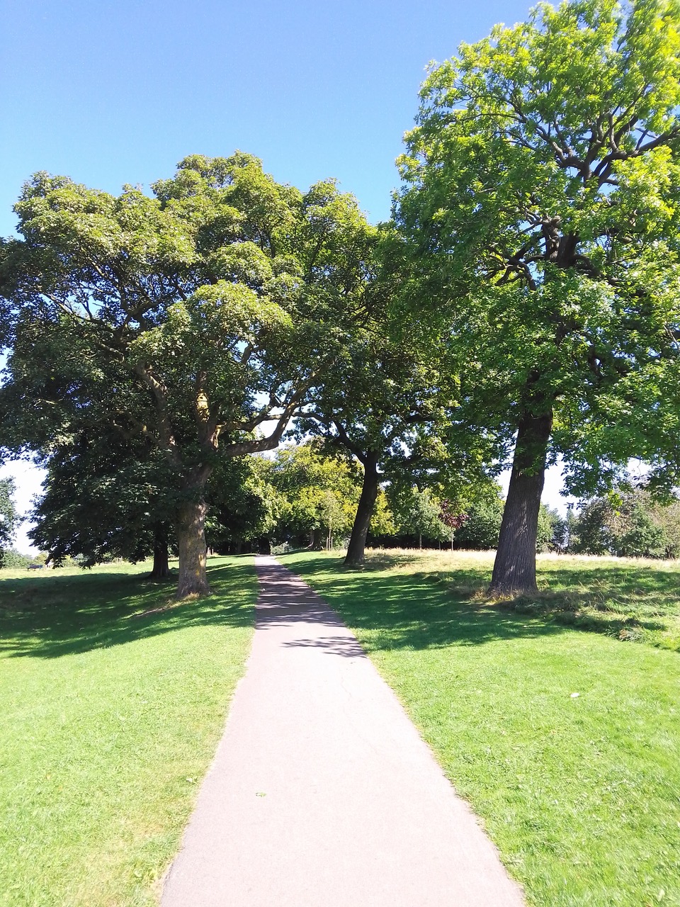 Fwd: Graves Park			
					</div><!-- .entry-content -->
		
		<footer>
		
		
		
					
					</footer><!-- .entry-meta -->
	</article><!-- #post -->
				
											
				
		
<hr class=