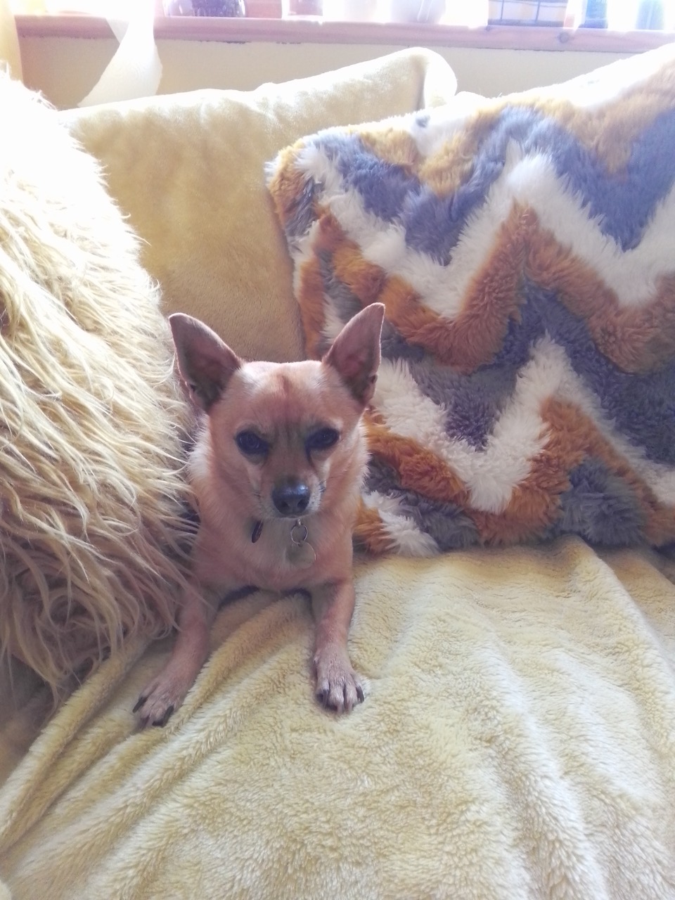 Fwd: Eddie			
					</div><!-- .entry-content -->
		
		<footer>
		
		
		
					
						
			

<div id=