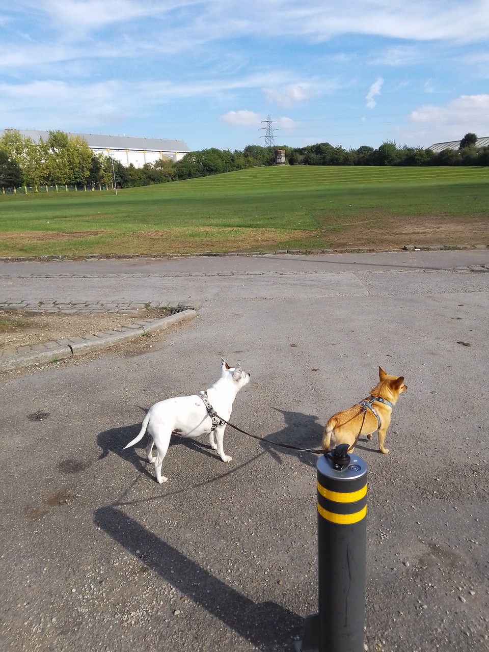 Fwd: Wilma & Eddie at the smelting pot near Sheffield Arena			
					</div><!-- .entry-content -->
		
		<footer>
		
		
		
					
					</footer><!-- .entry-meta -->
	</article><!-- #post -->
				
											
				
		
<hr class=