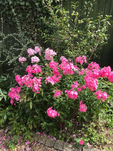 Fwd:			
					</div><!-- .entry-content -->
		
		<footer>
		
		
		
					
						
			

<div id=