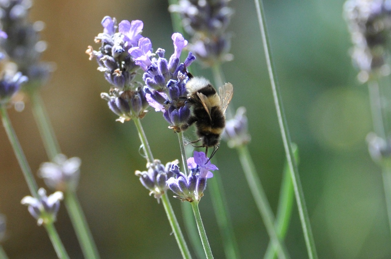 Fwd: Roland Geordie @ Parson Cross			
					</div><!-- .entry-content -->
		
		<footer>
		
		
		
					
					</footer><!-- .entry-meta -->
	</article><!-- #post -->
				
											
				
		
<hr class=