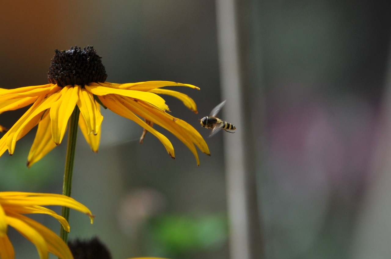 Fwd: Roland Geordie, Bee and Rebecca			
					</div><!-- .entry-content -->
		
		<footer>
		
		
		
					
					</footer><!-- .entry-meta -->
	</article><!-- #post -->
				
											
				
		
<hr class=