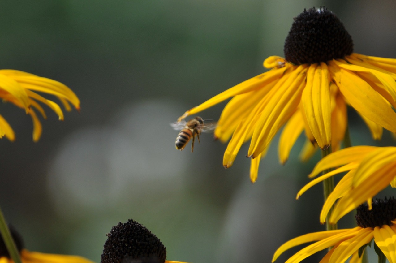 Fwd: Roland Geordie, Bee Happy			
					</div><!-- .entry-content -->
		
		<footer>
		
		
		
					
					</footer><!-- .entry-meta -->
	</article><!-- #post -->
				
											
				
		
<hr class=