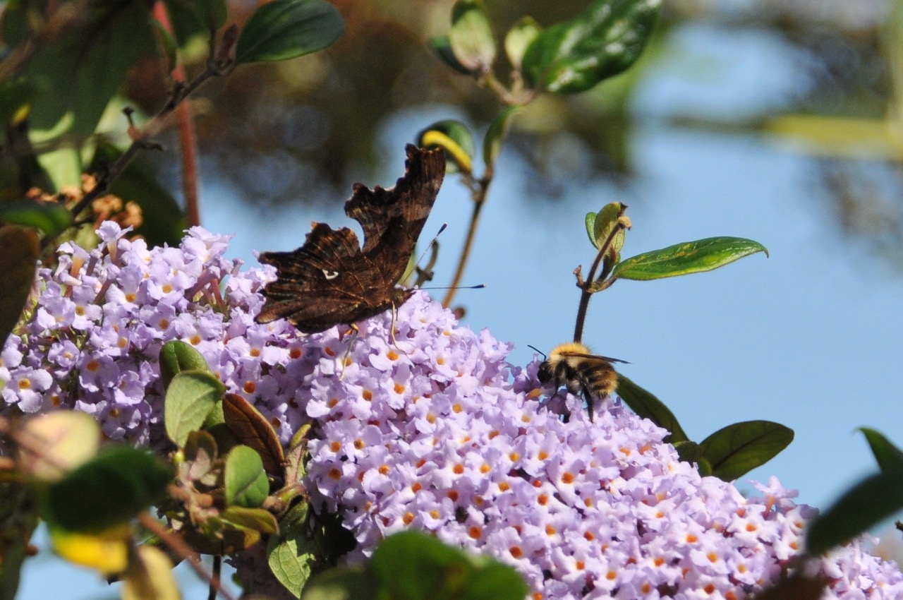 Fwd: Roland Geordie @ Parson Cross			
					</div><!-- .entry-content -->
		
		<footer>
		
		
		
					
					</footer><!-- .entry-meta -->
	</article><!-- #post -->
				
											
				
		
<hr class=