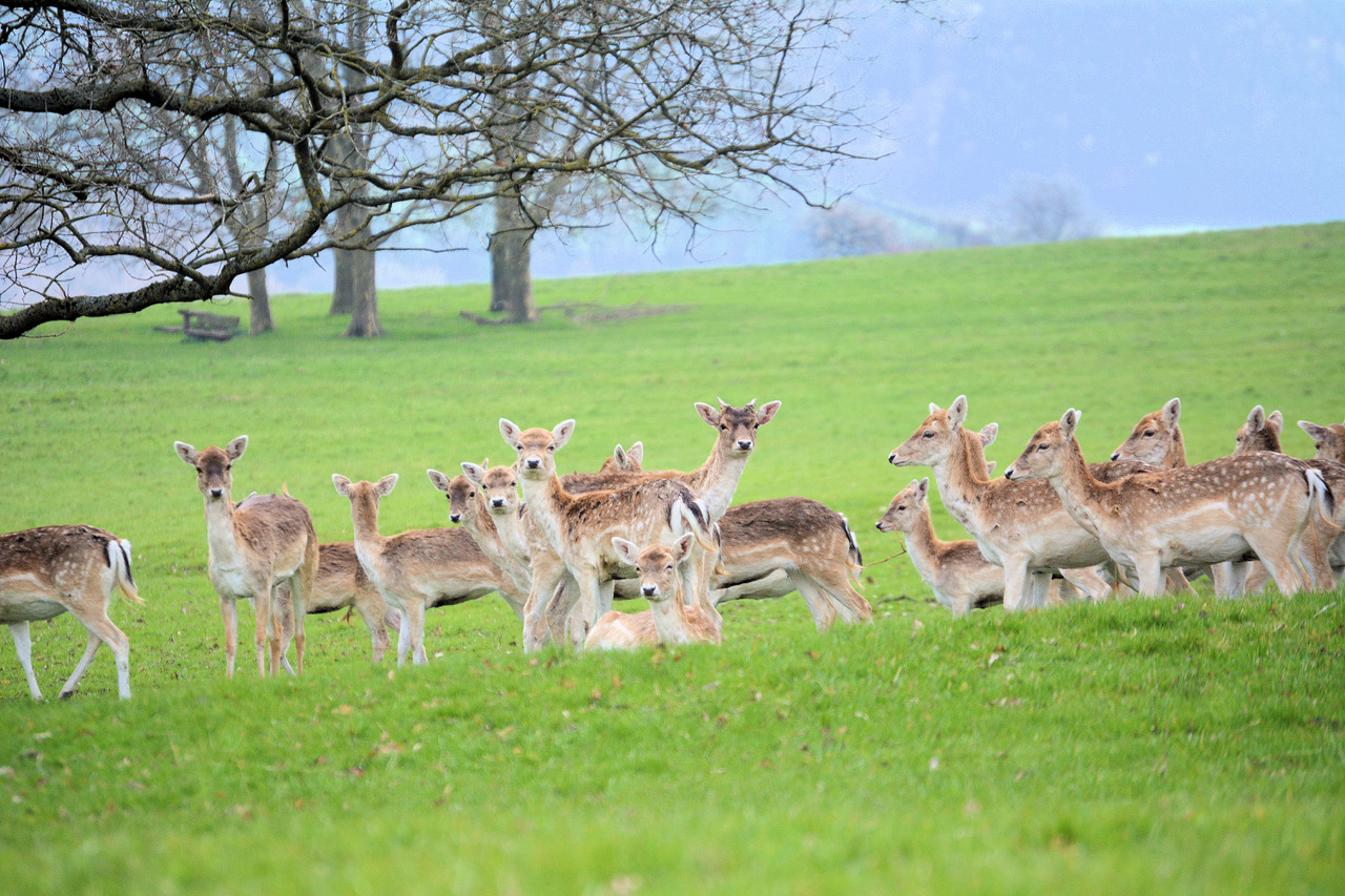 Fwd: Photo			
					</div><!-- .entry-content -->
		
		<footer>
		
		
		
					
					</footer><!-- .entry-meta -->
	</article><!-- #post -->
				
											
				
		
<hr class=