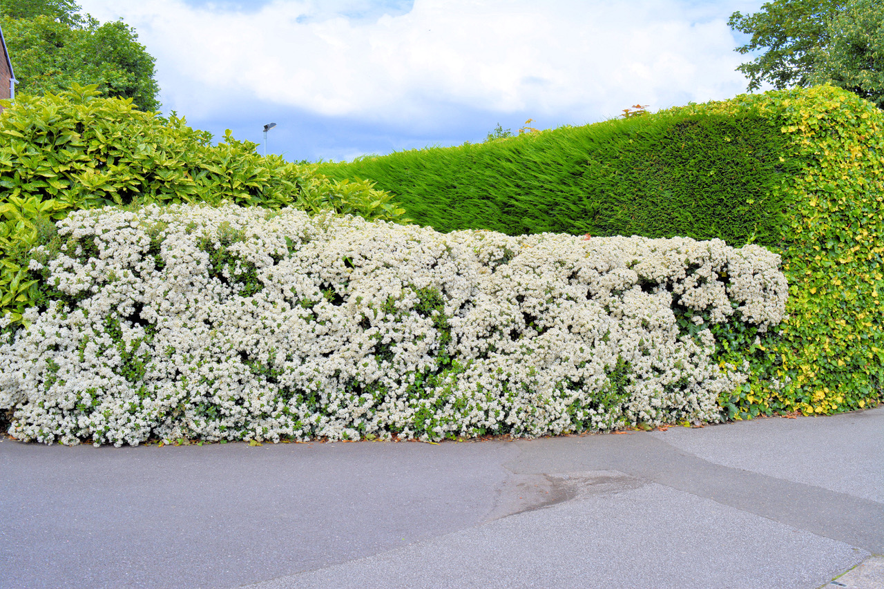 Fwd: Photo			
					</div><!-- .entry-content -->
		
		<footer>
		
		
		
					
					</footer><!-- .entry-meta -->
	</article><!-- #post -->
				
											
				
		
<hr class=