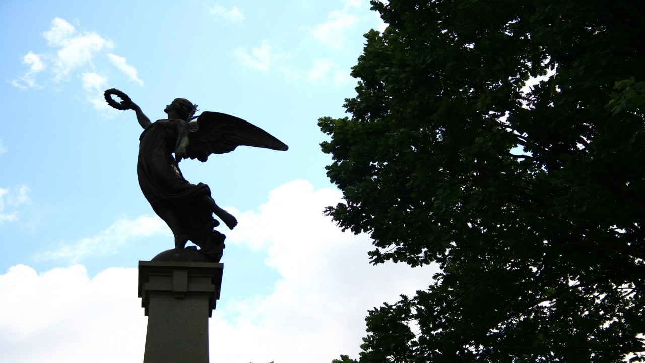 Fwd: David Maycock, Weston Park			
					</div><!-- .entry-content -->
		
		<footer>
		
		
		
					
					</footer><!-- .entry-meta -->
	</article><!-- #post -->
				
											
				
		
<hr class=