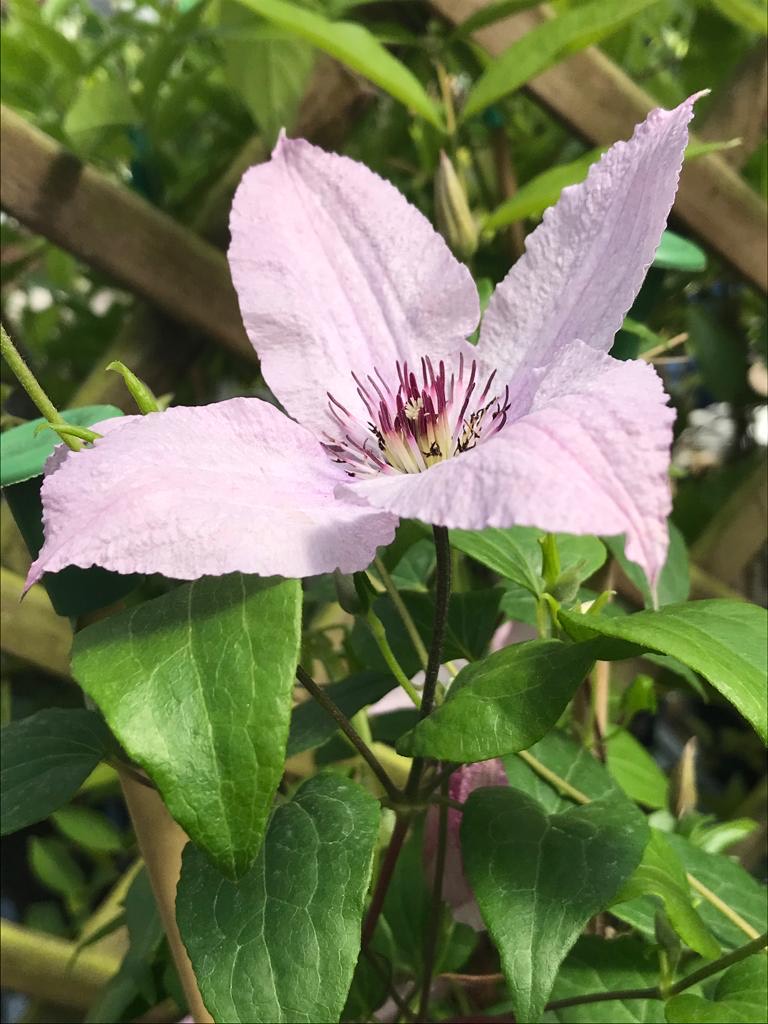 Fwd: We&rsquo;d love you to use this photo!			
					</div><!-- .entry-content -->
		
		<footer>
		
		
		
					
					</footer><!-- .entry-meta -->
	</article><!-- #post -->
				
											
				
		
<hr class=