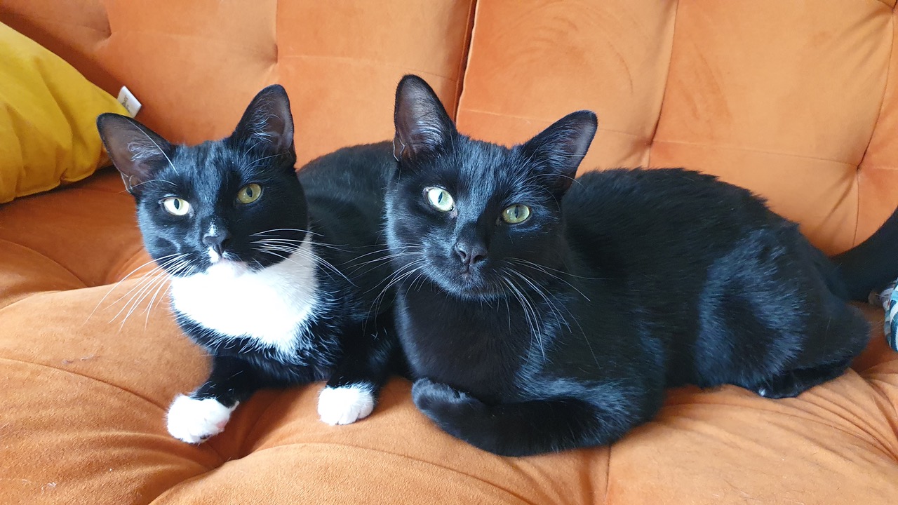 Fwd: Photo for TV			
					</div><!-- .entry-content -->
		
		<footer>
		
		
		
					
					</footer><!-- .entry-meta -->
	</article><!-- #post -->
				
											
				
		
<hr class=