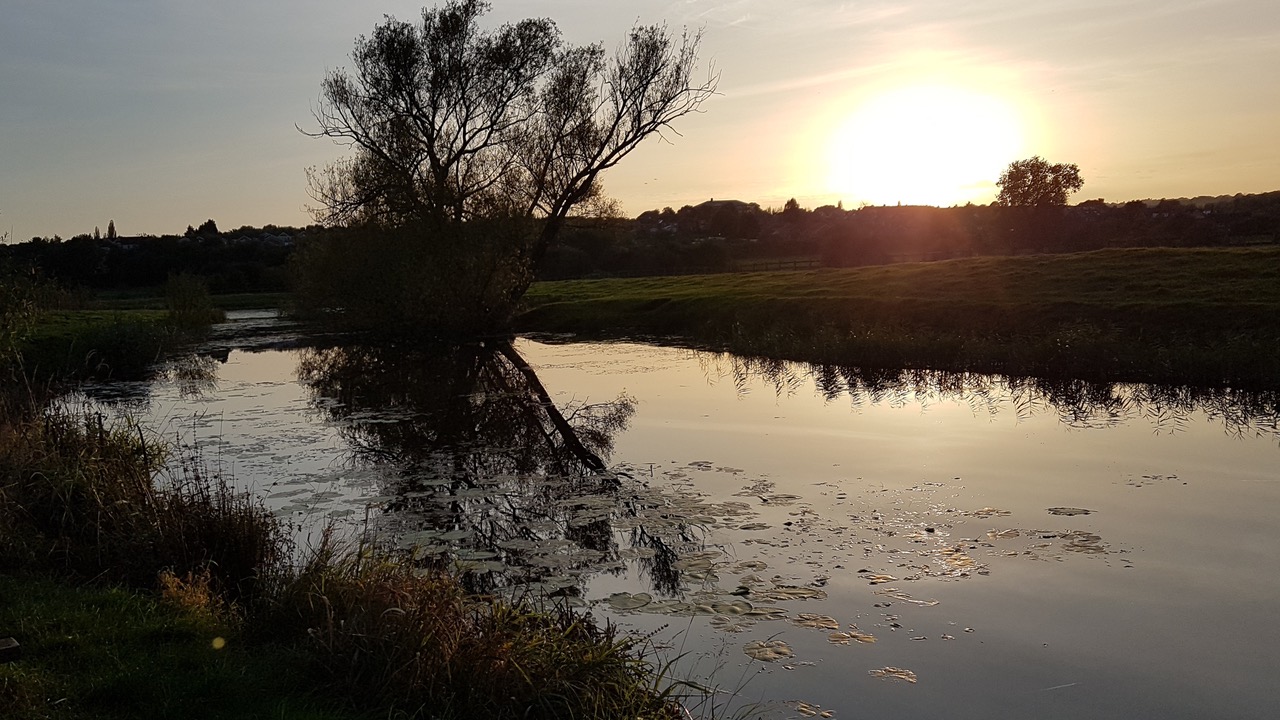 Fwd: R.Ellis  Woodhouse Washlands			
					</div><!-- .entry-content -->
		
		<footer>
		
		
		
					
					</footer><!-- .entry-meta -->
	</article><!-- #post -->
				
											
				
		
<hr class=