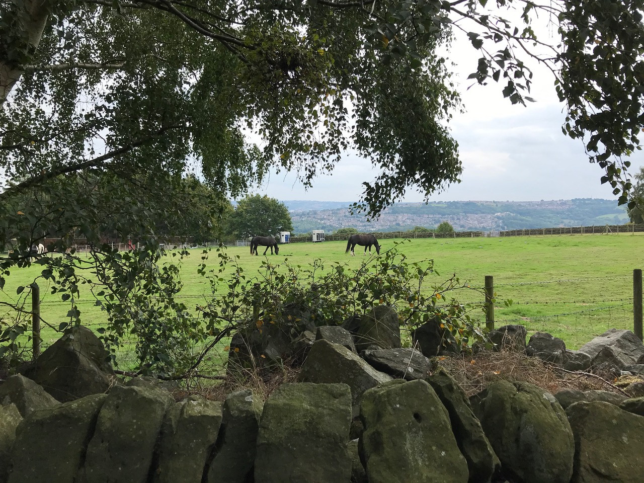 Fwd: Chris. – Loxley			
					</div><!-- .entry-content -->
		
		<footer>
		
		
		
					
					</footer><!-- .entry-meta -->
	</article><!-- #post -->
				
											
				
		
<hr class=