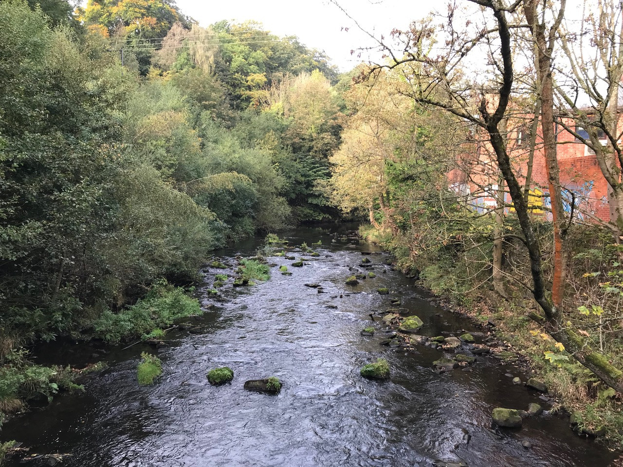 Fwd: Chris – River Don			
					</div><!-- .entry-content -->
		
		<footer>
		
		
		
					
					</footer><!-- .entry-meta -->
	</article><!-- #post -->
				
											
				
		
<hr class=