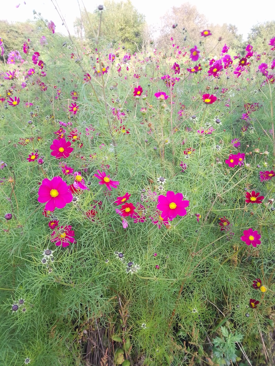 Fwd: Manor fields park			
					</div><!-- .entry-content -->
		
		<footer>
		
		
		
					
					</footer><!-- .entry-meta -->
	</article><!-- #post -->
				
											
				
		
<hr class=