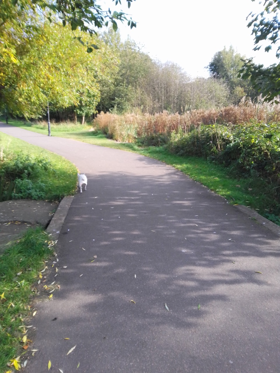 Fwd: Wilma at Manor fields park			
					</div><!-- .entry-content -->
		
		<footer>
		
		
		
					
					</footer><!-- .entry-meta -->
	</article><!-- #post -->
				
											
				
		
<hr class=