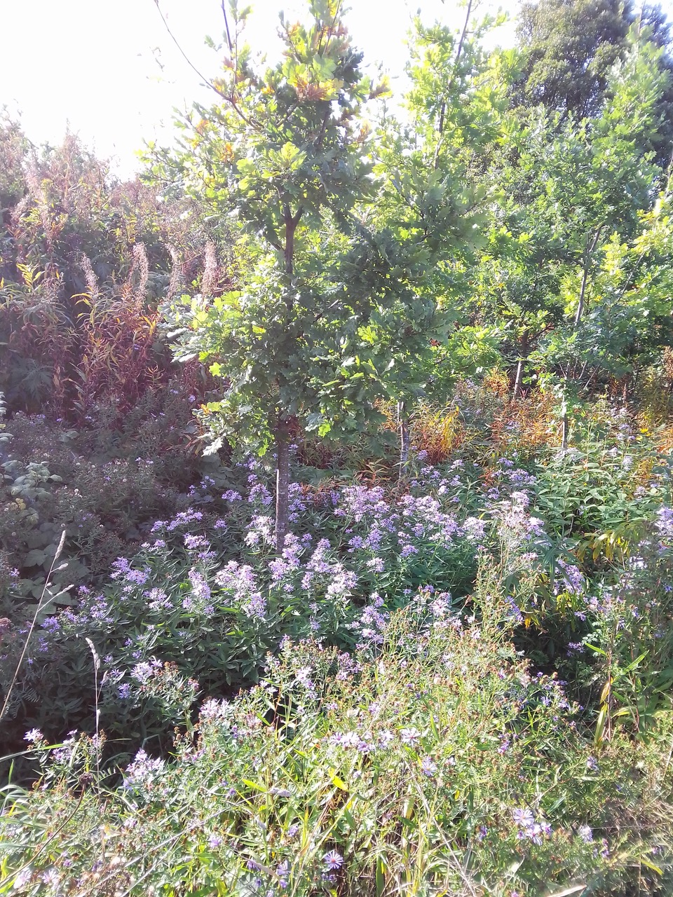 Fwd: Manor fields park			
					</div><!-- .entry-content -->
		
		<footer>
		
		
		
					
					</footer><!-- .entry-meta -->
	</article><!-- #post -->
				
											
				
		
<hr class=