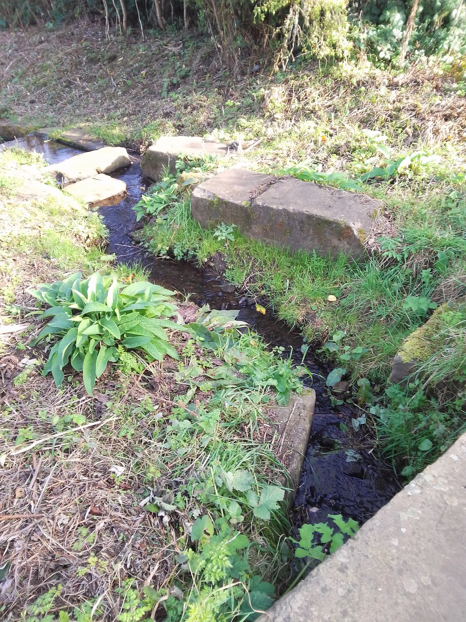 Fwd: Manor fields park			
					</div><!-- .entry-content -->
		
		<footer>
		
		
		
					
					</footer><!-- .entry-meta -->
	</article><!-- #post -->
				
											
				
		
<hr class=