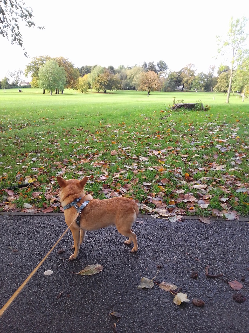 Fwd: Eddie at Rosehill  Victoria park			
					</div><!-- .entry-content -->
		
		<footer>
		
		
		
					
					</footer><!-- .entry-meta -->
	</article><!-- #post -->
				
											
				
		
<hr class=